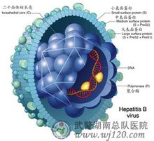Hepatit-virus