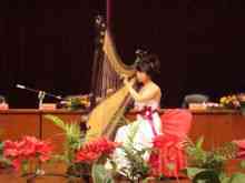 Wu Lin: harp virtuos