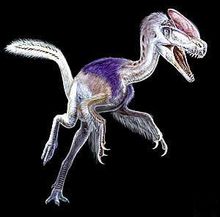 Coelurosauria