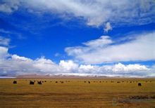 Mongoliska Plateau