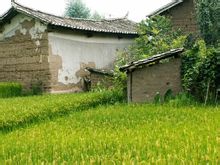 Rich By: Yongsheng County, Lijiang, Yunnan-provinsen, som omfattas av byn