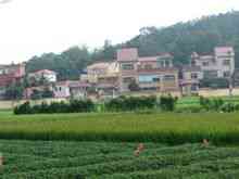 Waterwheel By: de fyra byar som lyder under Guangdong lokal beskattning Bean Town
