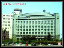 Shandong Shengli Co, Ltd