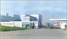 Yangzhou Agricultural Chemical Group Co, Ltd