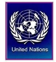 FN militära observatörer