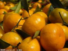 Ma Shui apelsin
