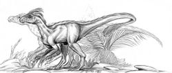 Ornithophilic Draken