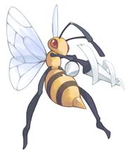 Stipa bee