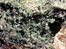 Omphacite