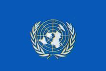 FN-universitetet